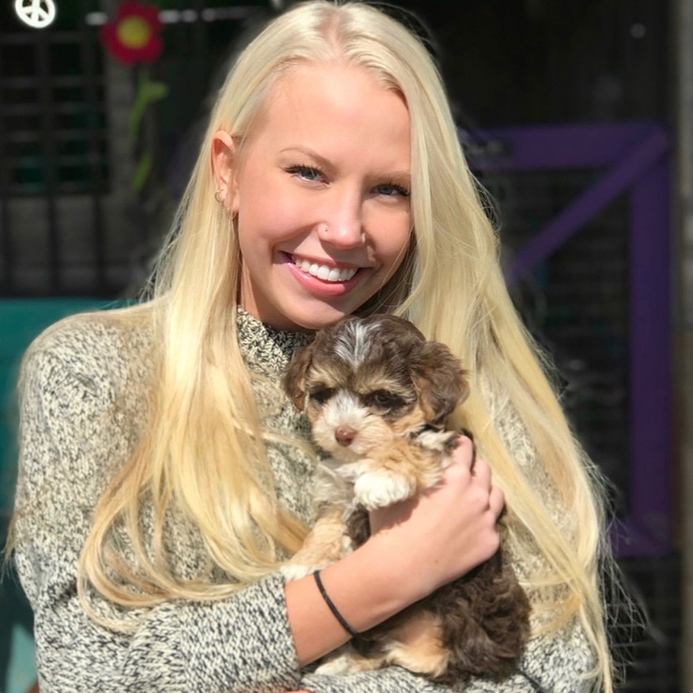 Meet your Posher, Molly